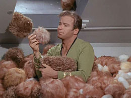 Taken from Wikeiedia explaining the STar Trek episode The Trouble With Tribbles
