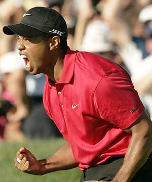 Tiger recovers from sand trap to birdie last hole and tie Mediate for 1st place
