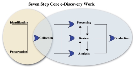 7 Step e-Discovery Process