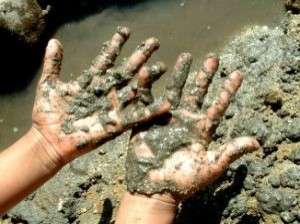 mud-hands